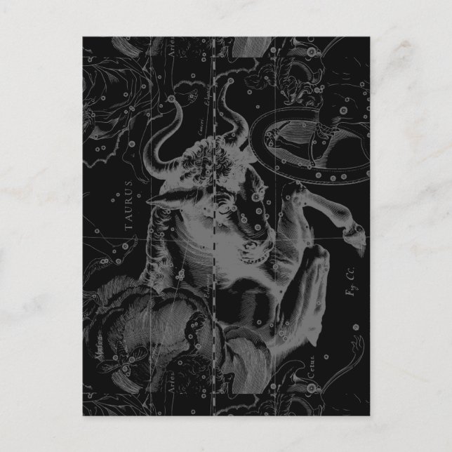 Carte Postale Symbole de Taurus Constellation Hevelius circa 169 (Devant)