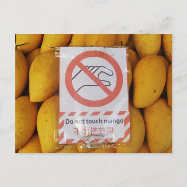 Carte Postale Symbole drôle 'Ne touche pas la mangue' (Devant)