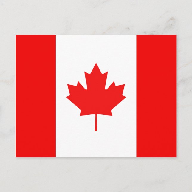 Carte Postale Symbole Feuille d'érable Drapeau canadien (Devant)