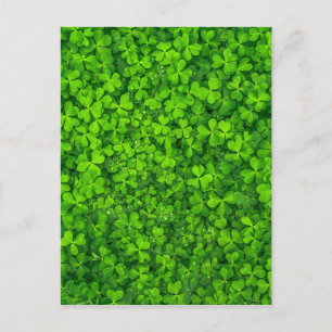 Carte Postale Symbole irlandais vert shamrock Clovers Irlande