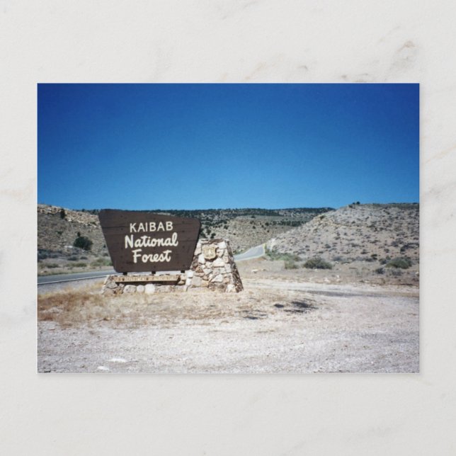 Carte Postale SYMBOLE NATIONAL DES FORÊTS Kaibab (Devant)