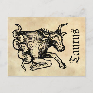 Carte Postale Symbole zodiaque médiéval de la Renaissance Taurus