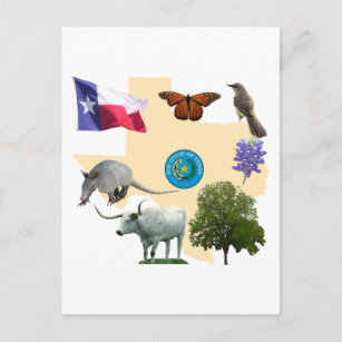 Carte Postale Symboles d'état du Texas