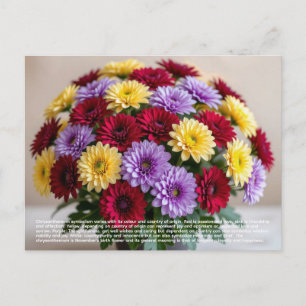 Carte Postale Symbolisme du Chrysanthème