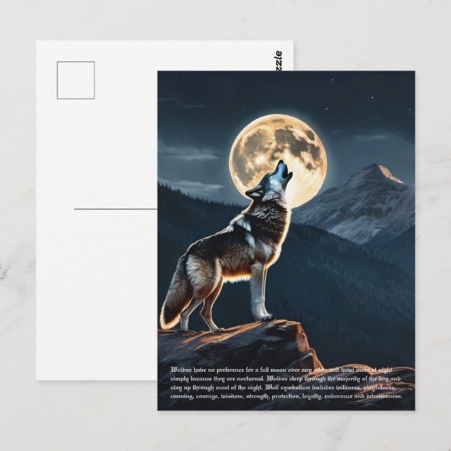 Carte Postale Symbolisme Wolf (Devant / Derrière)