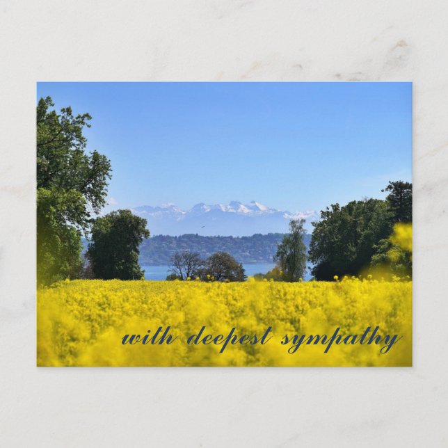 Carte Postale Sympathie du lac Meadow Hill aux fleurs jaunes ins (Devant)