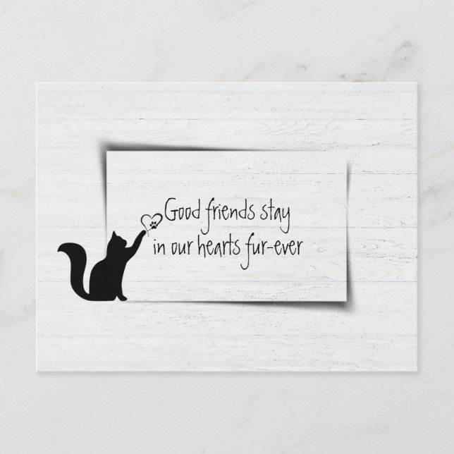 Carte Postale Sympathie pour la perte d'un chat de compagnie de  (Devant)