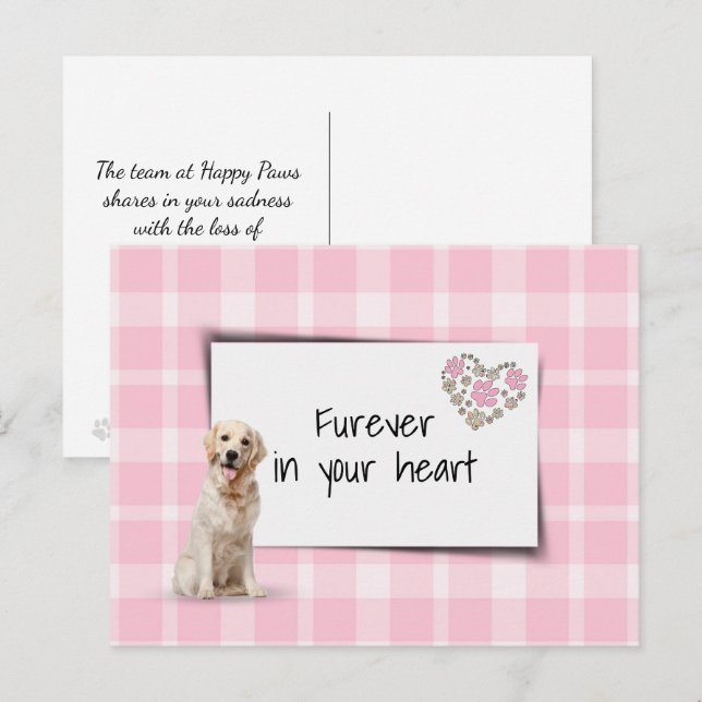 Carte Postale Sympathie pour la perte d'un Golden Retriever (Devant / Derrière)