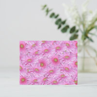 Symphonie de Gerberas roses,