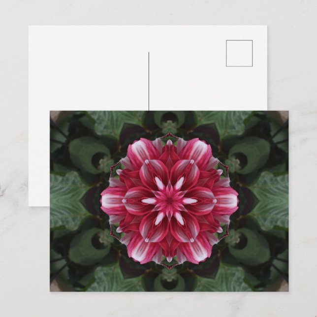 Carte Postale Symphonie de Pétales (Devant / Derrière)