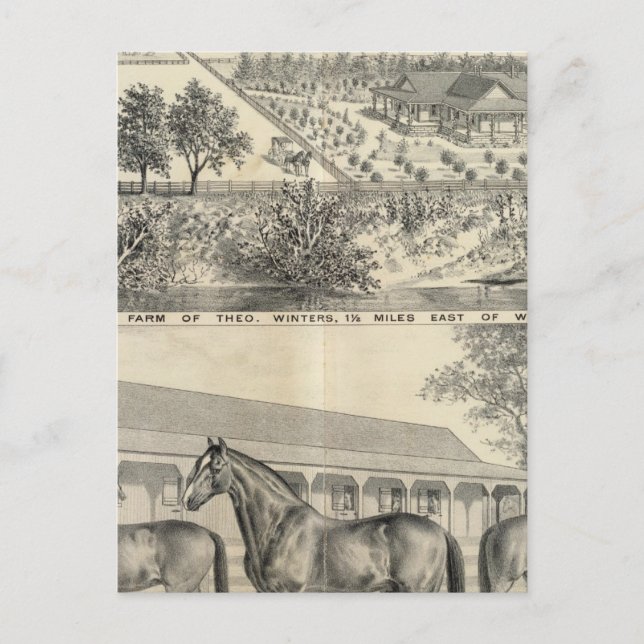 Carte Postale T Ferme d'hiver (Devant)