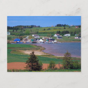 Carte Postale T.N. Canada, Île-du-Prince-Édouard. Des bateaux so