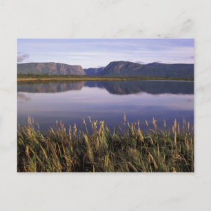 Carte Postale T.N., Canada, Terre-Neuve, Parc national du Gros M
