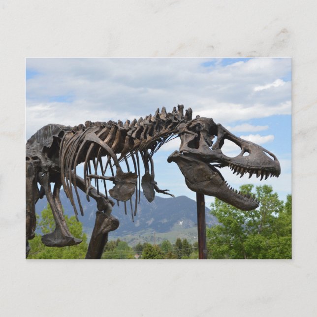 Carte Postale T-Rex (Devant)