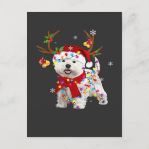 Carte Postale T-shirt drôle de Westie Noël Renne Lumières de Noë