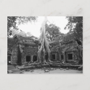 Carte Postale Ta Prohm