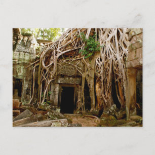 Carte Postale Ta Prohm