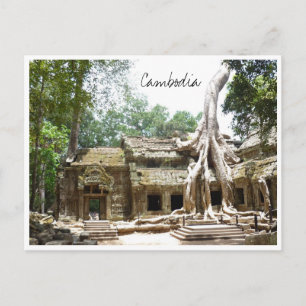Carte Postale ta prohm cambodia