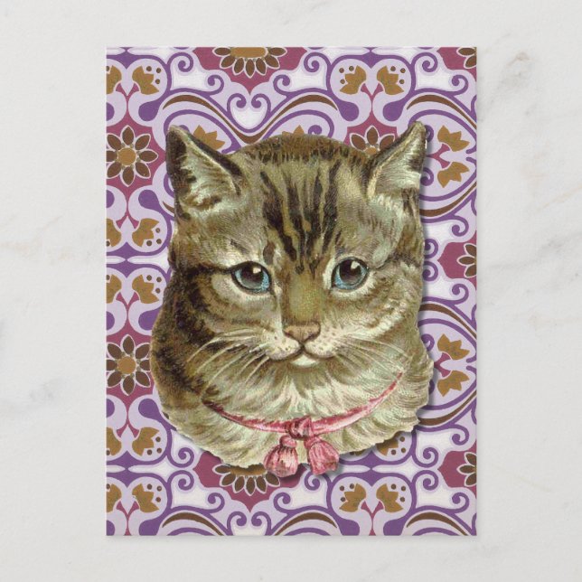 Carte Postale Tabby (Devant)