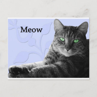 Carte Postale Tabby Cat Meow