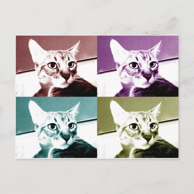 Carte Postale Tabby Cat - Pop Art (Devant)