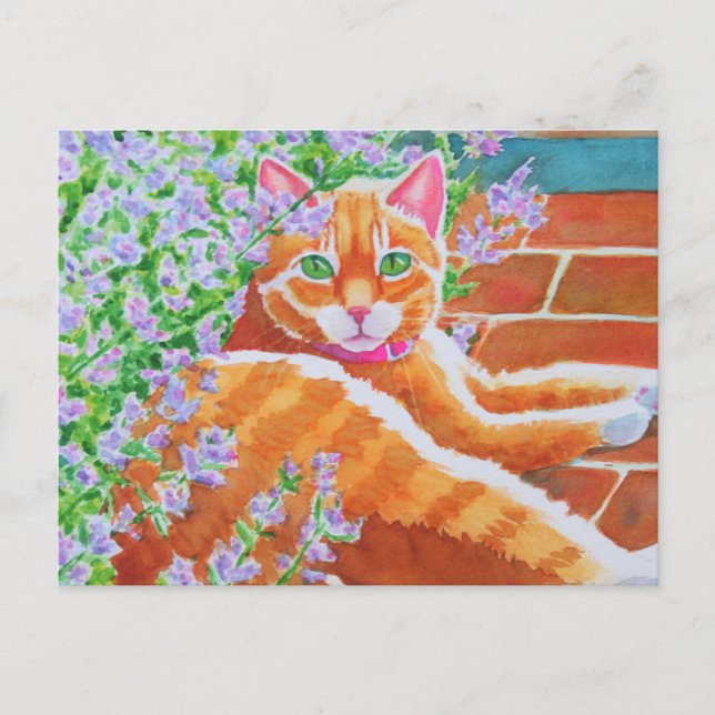 Carte Postale Tabby Cat sur Garden Path (Devant)