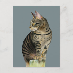 Carte Postale Tabby Cat "The Lookout" sur Wood Post Illustration