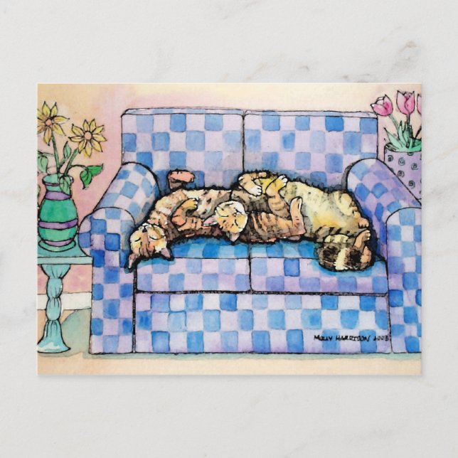 Carte postale Tabby Cats (Devant)