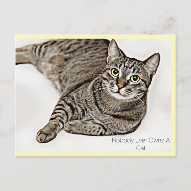 Carte Postale Tabby Chat "Personne N'A Jamais De Chat" | (Devant)