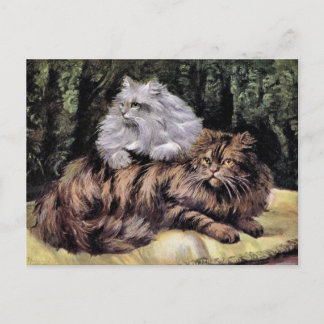 Carte Postale Tabby et Silver Persians