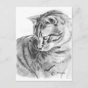 Carte Postale Tabby gris chat croqué au charbon de bois