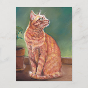 Carte Postale Tabby Jaune Chat Pastel Art