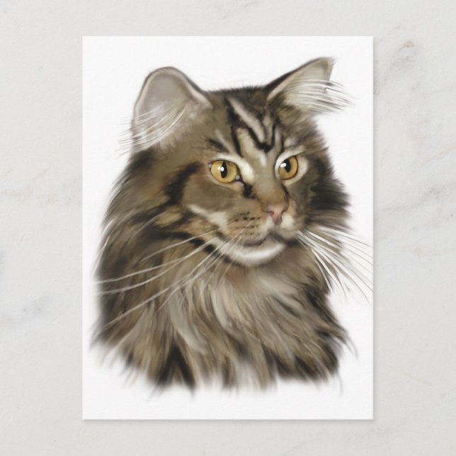 Carte Postale Tabby noir Maine Coon Cat (Devant)