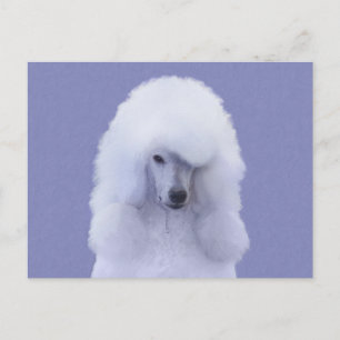 Carte Postale Tableau blanc standard de caniche - Art original d