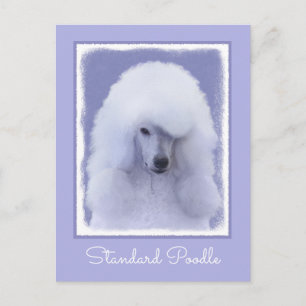 Carte Postale Tableau blanc standard de caniche - Art original d