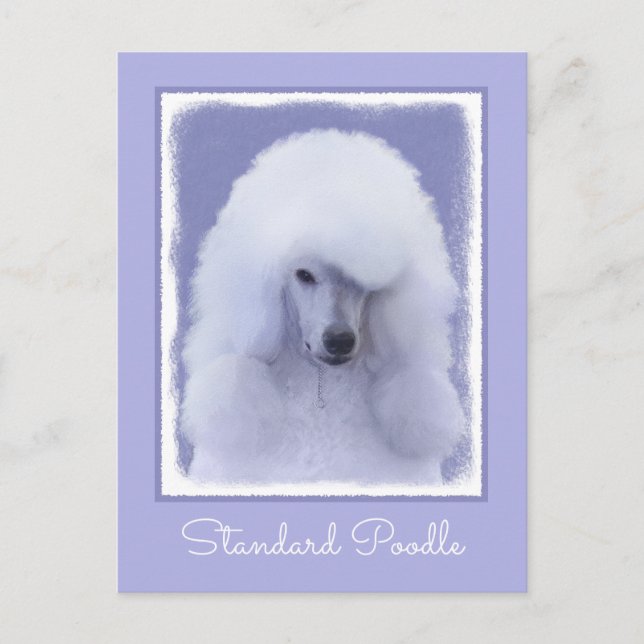 Carte Postale Tableau blanc standard de caniche - Art original d (Devant)