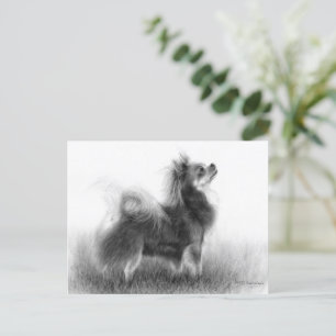 Carte Postale Tableau Chihuahua original