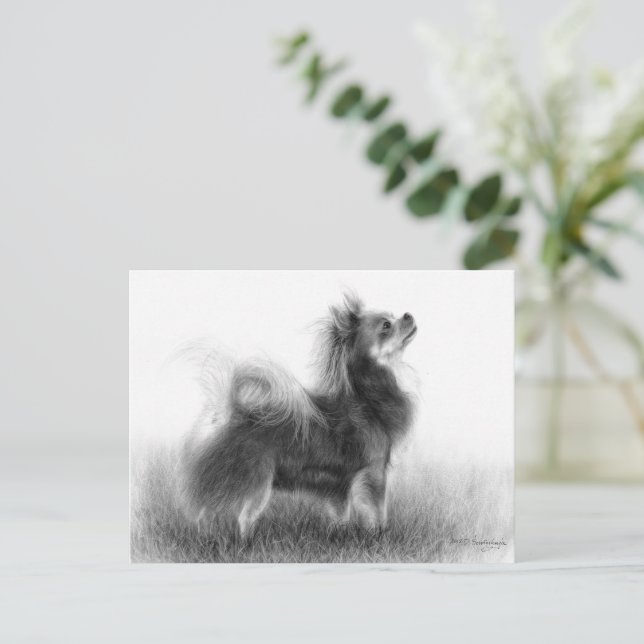 Carte Postale Tableau Chihuahua original (Debout devant)