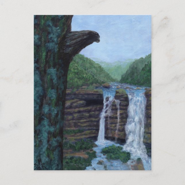 Carte Postale Tableau de Bear Falls (Devant)