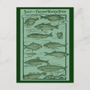 Carte Postale Tableau des poissons salés et d'eau douce