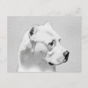 Carte Postale Tableau Dogo Argentino - Art Chien original