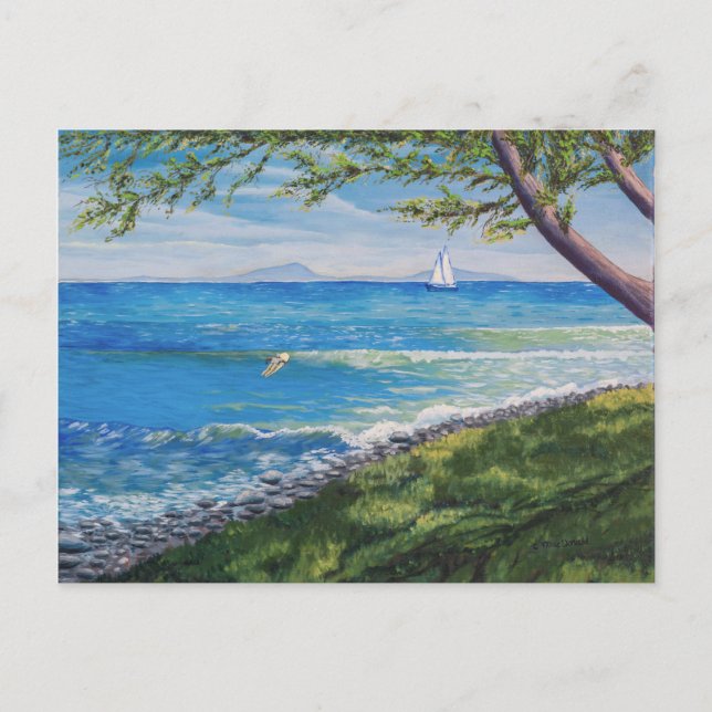 Carte Postale Tableau marin de Crescent Head Beach (Devant)
