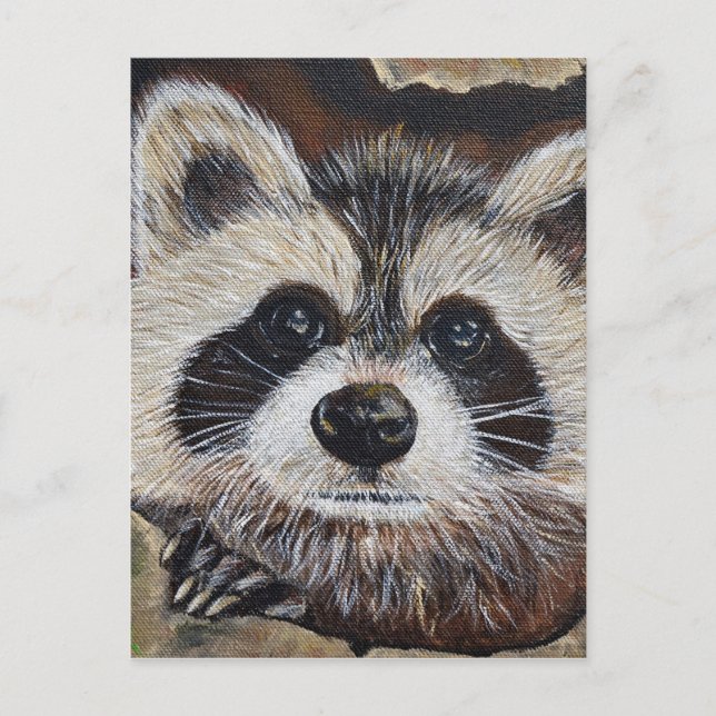 Carte Postale Tableau Raccoon (Devant)