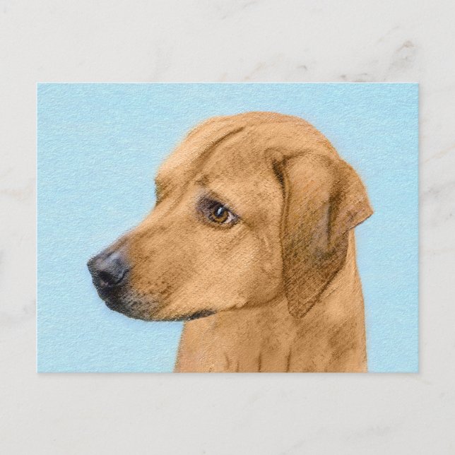 Carte Postale Tableau Rhodesian Ridgeback - Art Chien original (Devant)