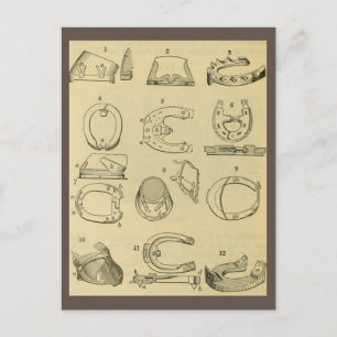 Carte Postale Tableau vintage des types de fer à cheval