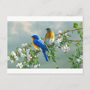 Carte Postale tableaux-fleurs-oiseaux-animaux-de-bureau-l-