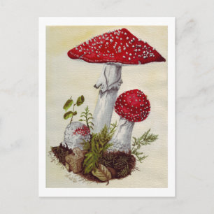 Carte Postale Tabouret