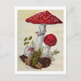 Carte Postale Tabouret