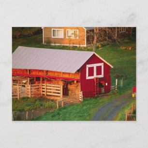 Carte Postale Tâches matinales à la ferme. USA, Vermont,