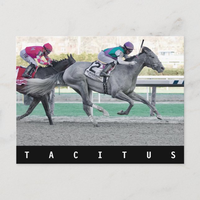 Carte Postale Tacitus gagnant des Wood Memorial Stakes (Devant)